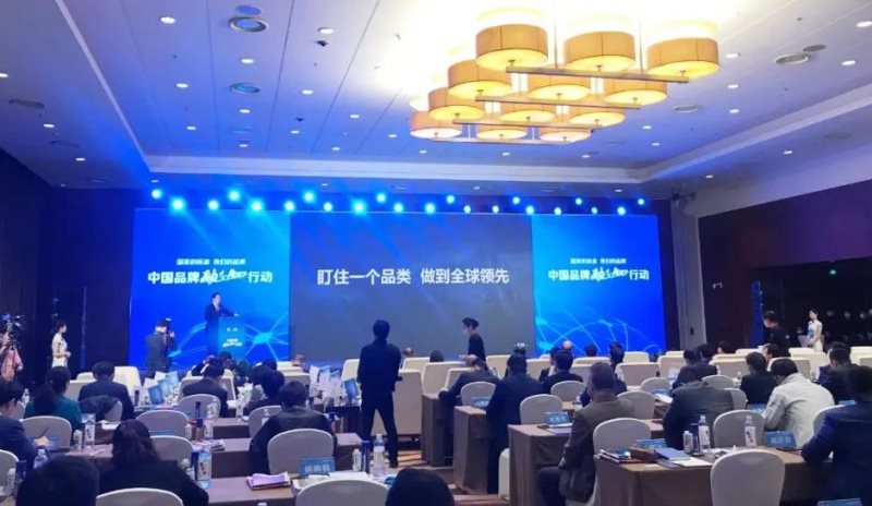 定了！美麗島進(jìn)了國家隊(duì)，新華社專訪