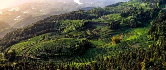美麗島多焦鏡：這個(gè)明凈新春，以時(shí)間為軸，扶搖直上